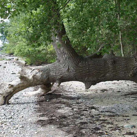 Am Prázdninový dům Langballig